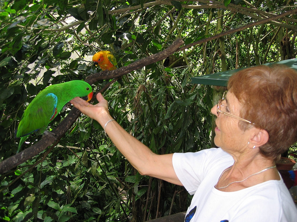 023 Birdworld Kuranda.jpg
